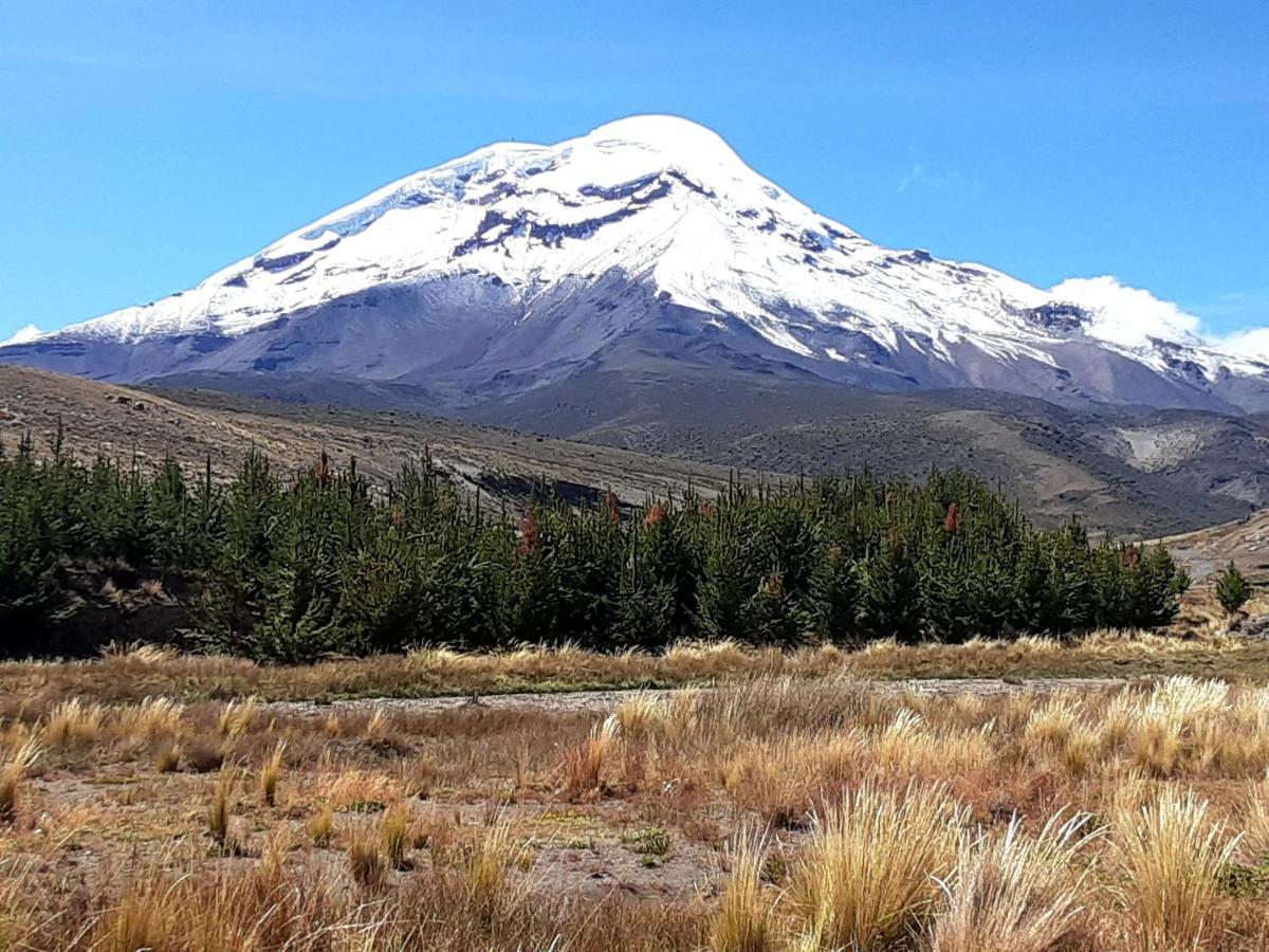 Hospedaje Chimborazo Zewnętrze zdjęcie