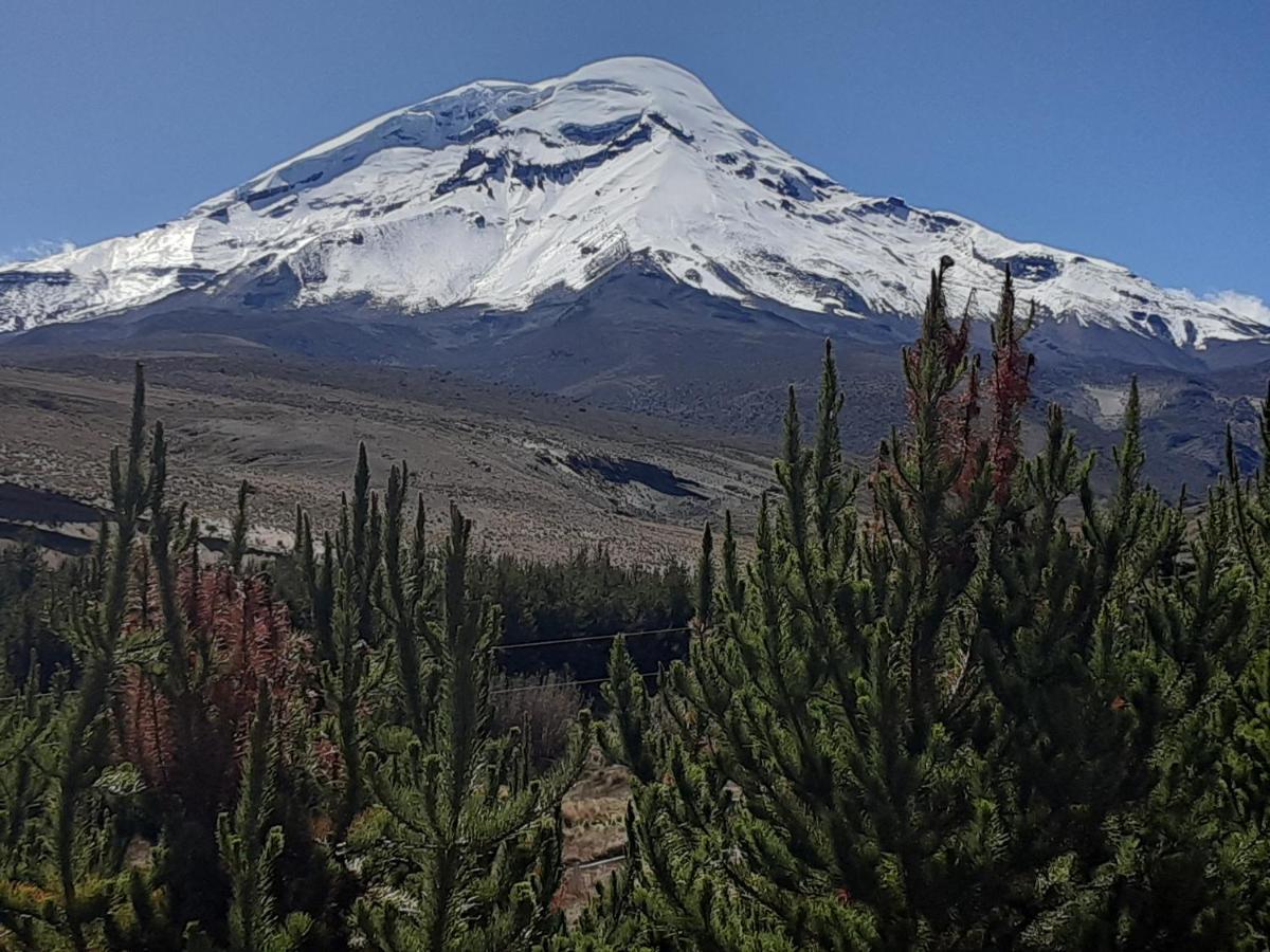 Hospedaje Chimborazo Zewnętrze zdjęcie